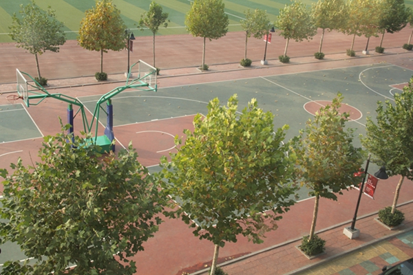 塑膠籃球場(chǎng)