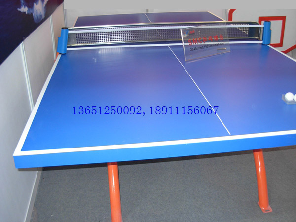 老國標室外乒乓球臺對面