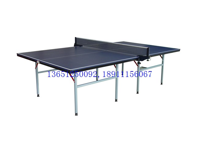室內乒乓球臺