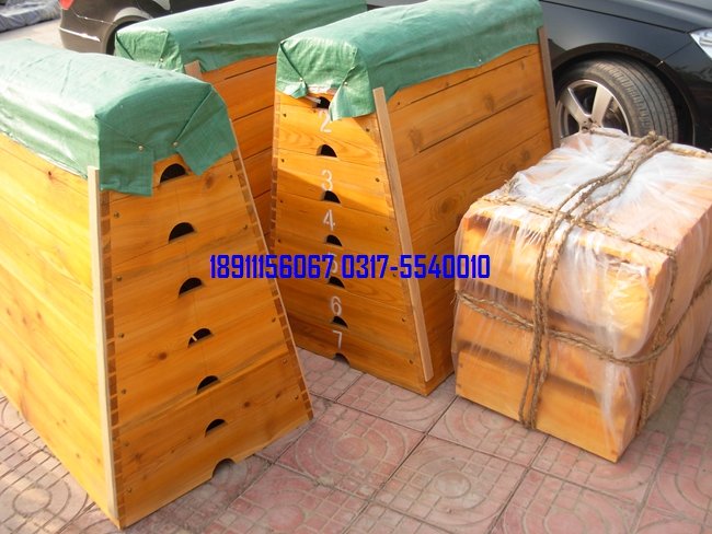 五節(jié)、七節(jié)跳箱