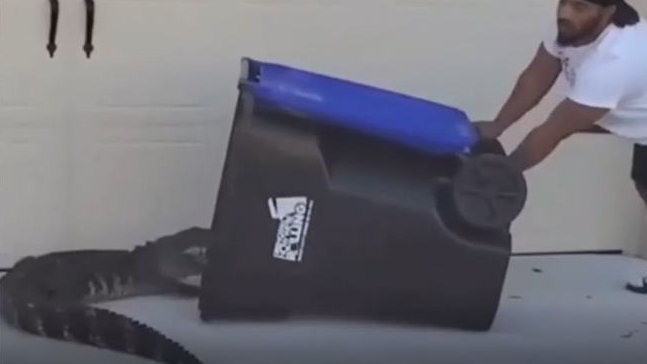 【NBA】躺槍?zhuān)∧凶硬恩{魚(yú)不忘嘲諷西蒙斯