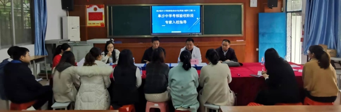 專家解惑，校本研修