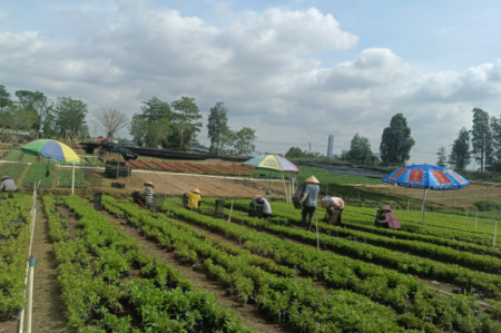 這項(xiàng)數(shù)據(jù)，橫欄排名全市第一！