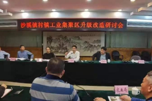 借鑒經(jīng)驗(yàn)、干在實(shí)處！中山沙溪全力推動(dòng)村鎮(zhèn)工業(yè)園改造