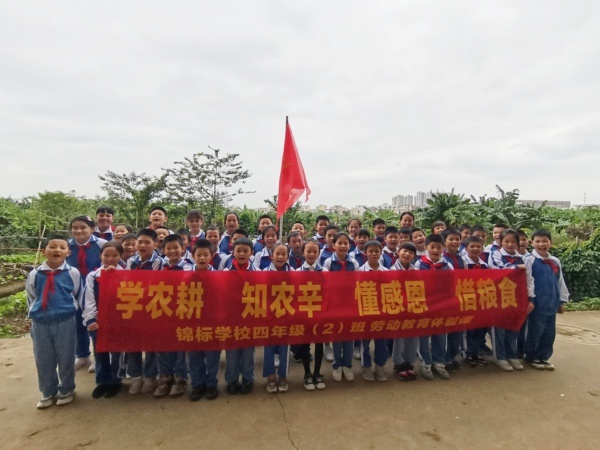 學農耕 知農辛 懂感恩 惜糧食 | 錦標學校開展學生勞動教育體驗活動