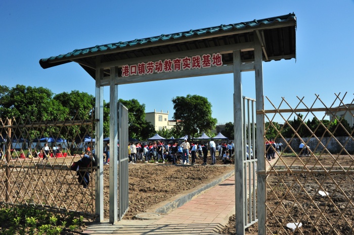 研學(xué)實(shí)踐促成長(zhǎng) 躬耕細(xì)作明志向