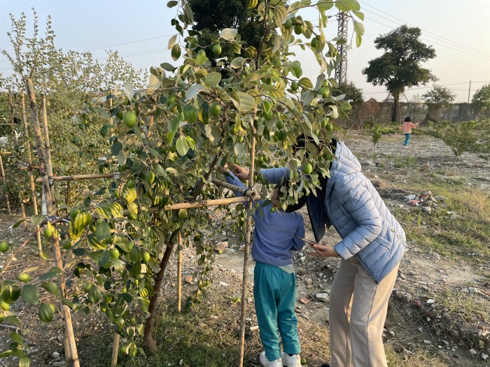 體驗勞動之美，品味豐收之樂