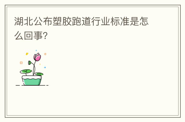 湖北公布塑膠跑道行業(yè)標準是怎么回事？