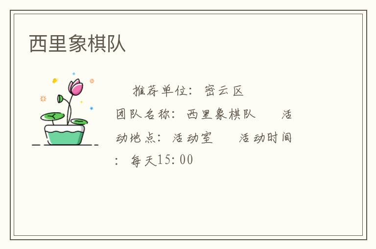 西里象棋隊(duì)