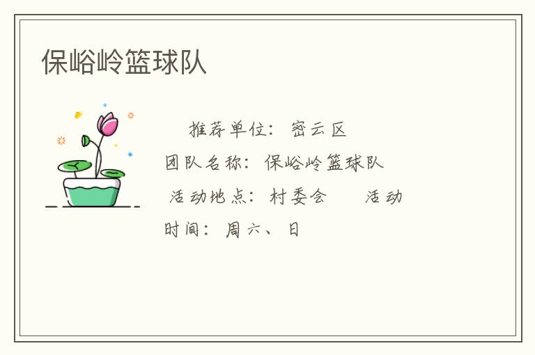 保峪嶺籃球隊(duì)