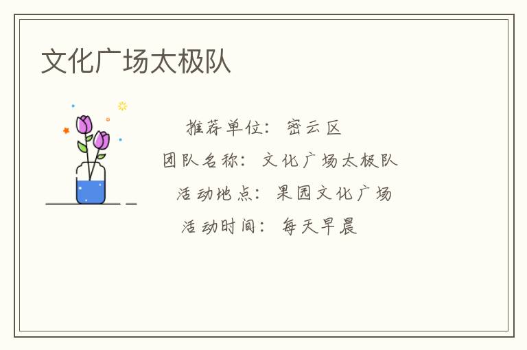 文化廣場(chǎng)太極隊(duì)