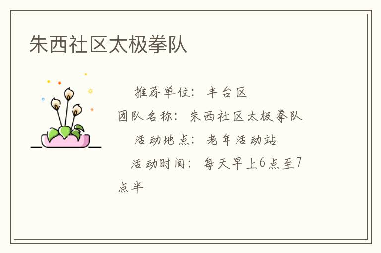 朱西社區(qū)太極拳隊