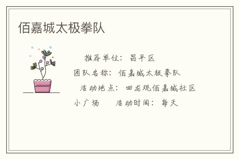 佰嘉城太極拳隊