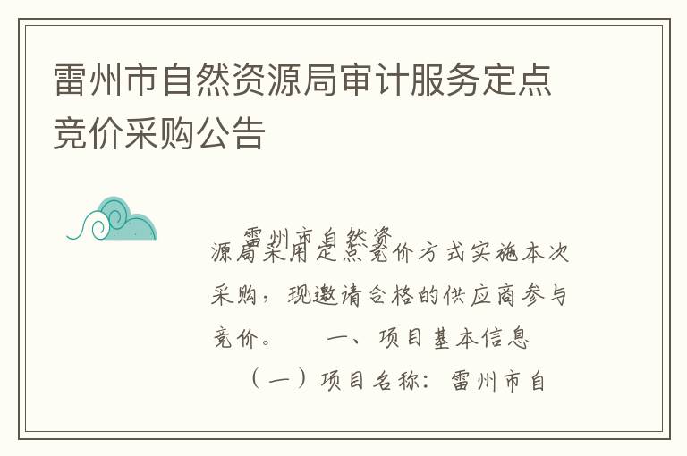 雷州市自然資源局審計(jì)服務(wù)定點(diǎn)競(jìng)價(jià)采購(gòu)公告
