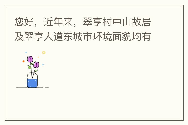 您好，近年來(lái)，翠亨村中山故居及翠亨大道東城市環(huán)境面貌均有所提升。但周邊環(huán)境仍然不夠理想，稍顯臟亂差，與5A風(fēng)景區(qū)的定位不相協(xié)調(diào)，望繼續(xù)盡快改善為宜。多謝