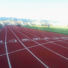 信聯(lián) 塑膠跑道 學(xué)校塑膠跑道 球場(chǎng)塑膠跑道 工程塑膠跑道