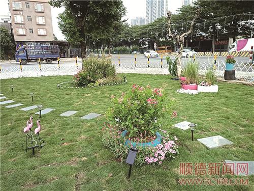 黨建引領(lǐng)，黨群共建美麗鄉(xiāng)村