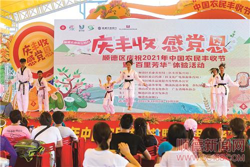 感受豐收喜悅 領略順德美景