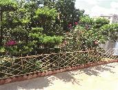 區(qū)城鄉(xiāng)品質(zhì)提升攻堅隊以督導(dǎo)推動問題整改