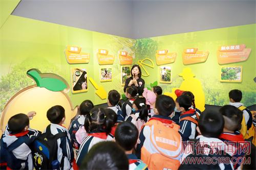 口岸文旅：聚焦順德特色文化研學