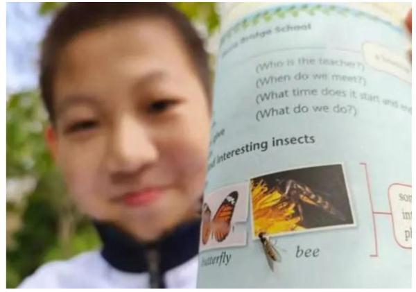 后生可畏！又有學(xué)生發(fā)現(xiàn)教科書錯誤，這次是上海10后！