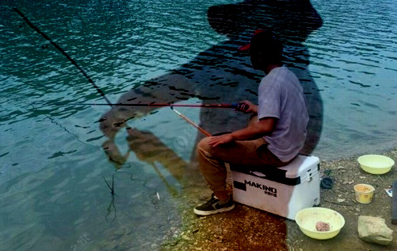 2019年“京西杯”休閑釣大鯉魚(yú)賽