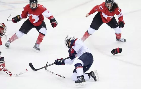 2021年全國男子冰球錦標賽