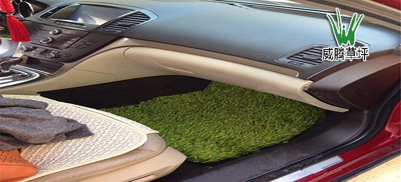 人造草坪汽車(chē)腳墊