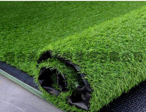 人造草坪 人造草坪