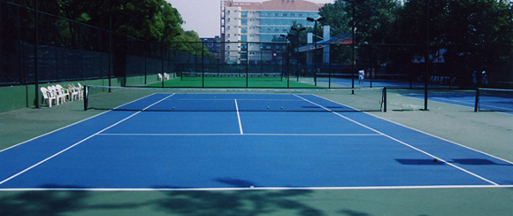 <a href=http://www.hjlhqqhx.cn target=_blank class=infotextkey>丙烯酸</a>球場廠家