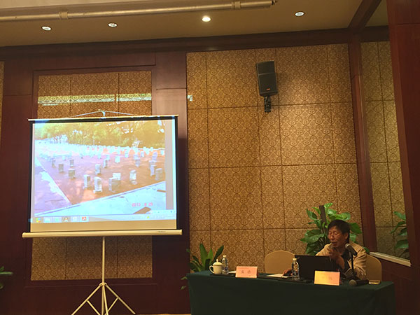 田徑場(chǎng)地