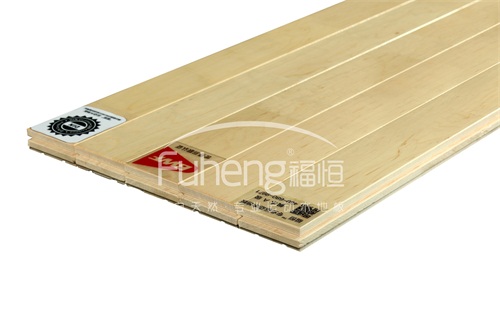 A級楓木運動地板