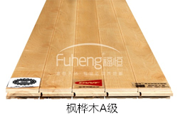 楓樺木A 楓樺木A