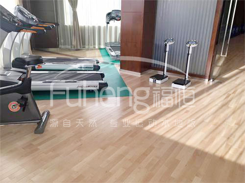 <a href=http://www.hjlhqqhx.cn target=_blank class=infotextkey>健身</a>房木地板-10fd