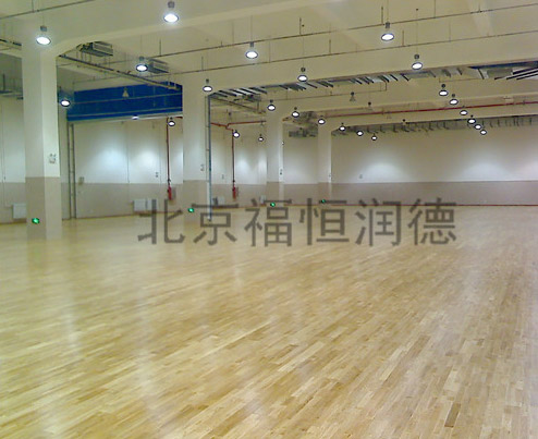 楓木運動地板體育場館