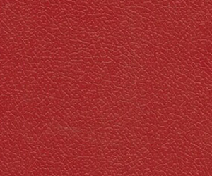 專業(yè)型·祥云紋（紅）