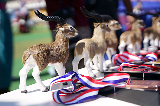 塑膠跑道 塑膠跑道