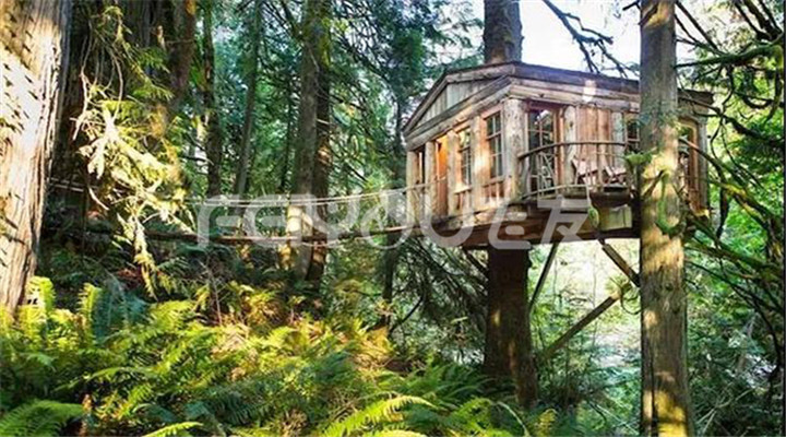 樹(shù)屋度假村|走進(jìn)大自然實(shí)現(xiàn)童年夢(mèng)想