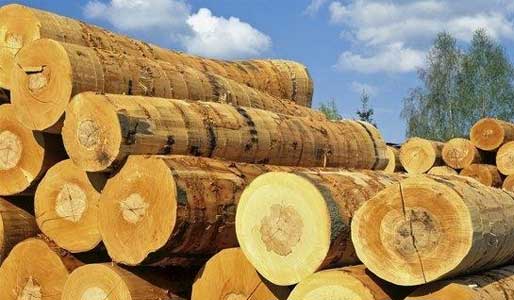 兒童家具木材含水量的控制方法 兒童家具木材含水量的控制方法