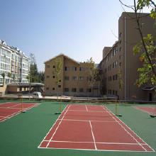 利達(dá)硅pu籃球場(chǎng)地坪材料硅pu籃球場(chǎng)地坪漆施工湖南硅pu球場(chǎng)材料廠家、硅PU球場(chǎng)效果設(shè)計(jì)價(jià)格、籃球場(chǎng)包工包料施工