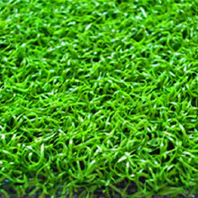信聯(lián) 人造草坪 球場(chǎng)人造草坪 人造草坪 人造草坪廠家