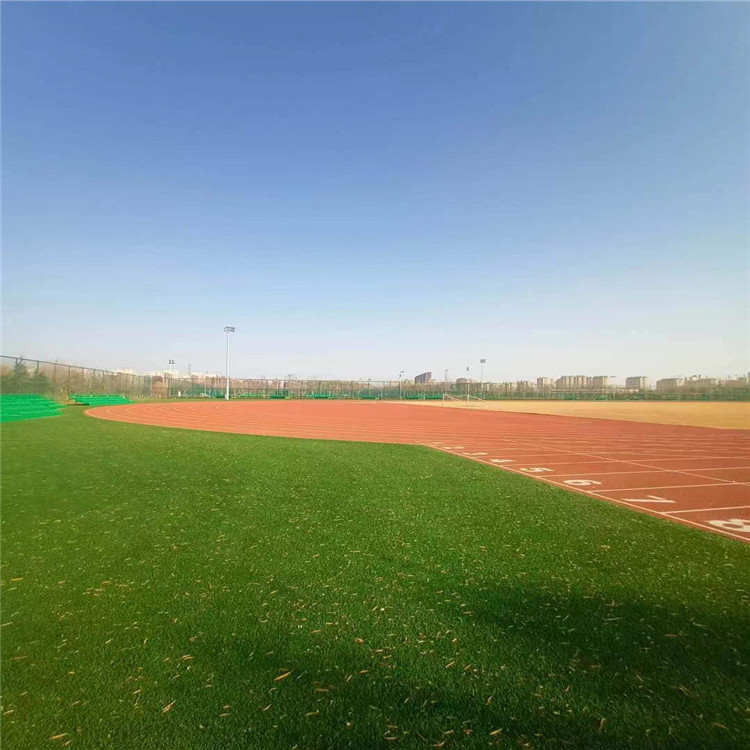 勝鑫體育生產(chǎn) 預制塑膠跑道 操場塑膠跑道 施工