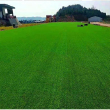 足球場人造草坪、幼兒園人造草坪、門球場人造草坪、人造草坪生產(chǎn)、人造草坪定制質(zhì)量可靠廠家定制歡迎咨詢