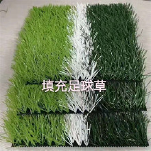 坤誠環(huán)保人造草坪 仿真人造草坪 景觀人造草坪 休閑人造草坪 人造草坪機 足球人造草坪 人造草坪工程 單絲人造草坪 加密人